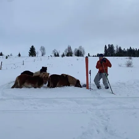 Nad Potokiem Sauna, Jacuzzi, Witów