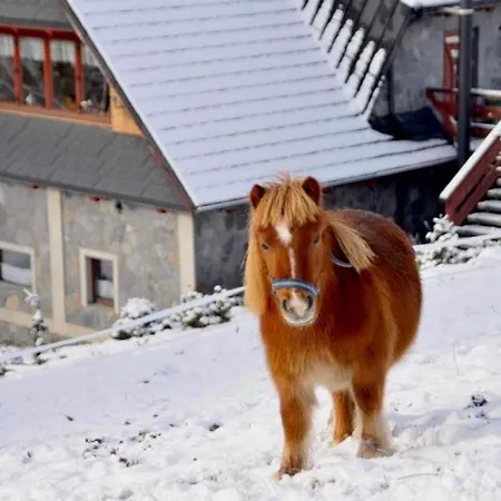 Daire Nad Potokiem Sauna, Jacuzzi, *