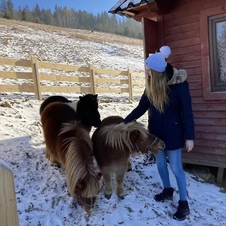 Daire Nad Potokiem Sauna, Jacuzzi,