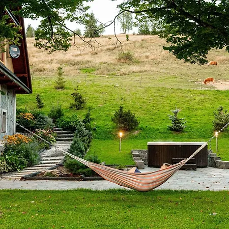 Nad Potokiem Sauna, Jacuzzi, Witów