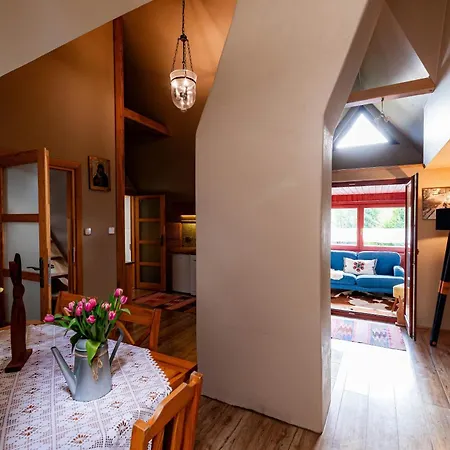 Daire Nad Potokiem Sauna, Jacuzzi, *