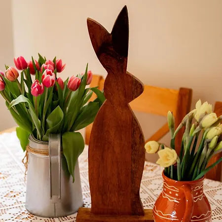 Nad Potokiem Sauna, Jacuzzi, * Witów