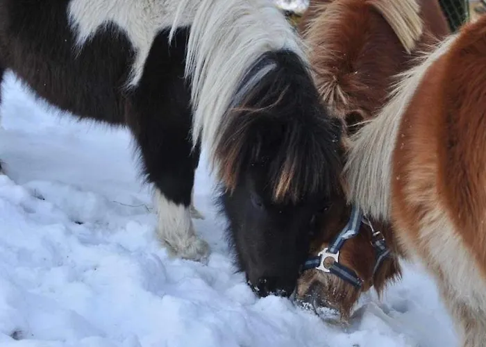 Nad Potokiem Sauna, Jacuzzi, דירה Witów