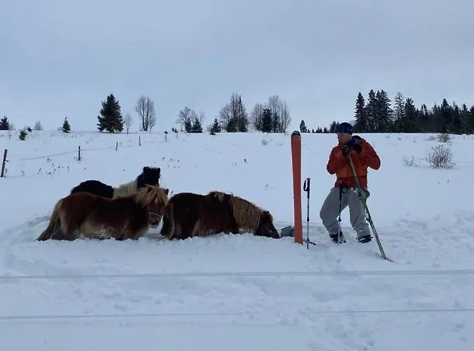 Nad Potokiem Sauna, Jacuzzi, Witów