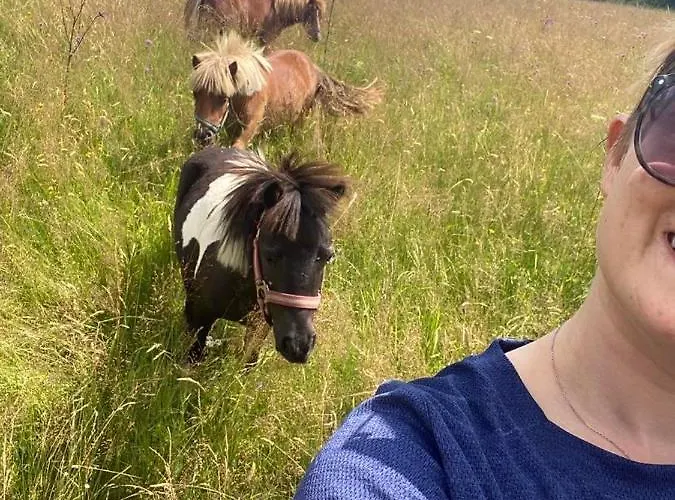 Nad Potokiem Sauna, Jacuzzi, 公寓 *