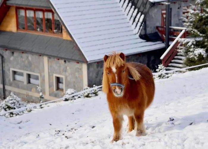 דירה Nad Potokiem Sauna, Jacuzzi, *