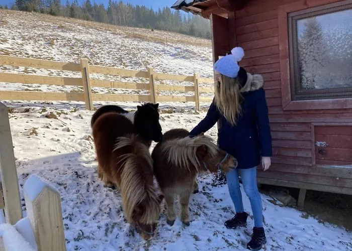 公寓 Nad Potokiem Sauna, Jacuzzi,