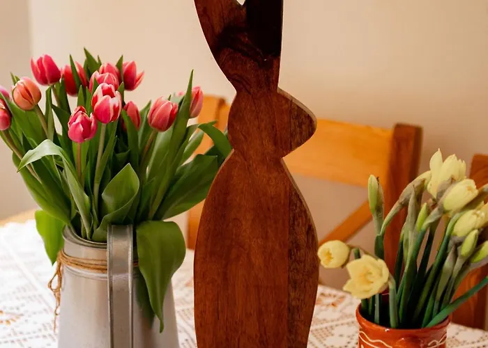 Nad Potokiem Sauna, Jacuzzi, * Witów